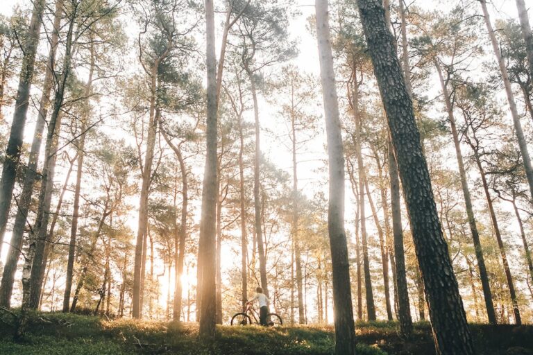 How to Optimize Your Product Listings with AI-Generated Content